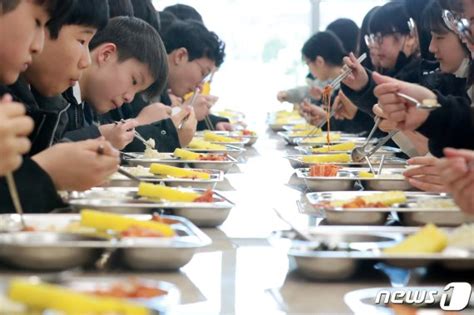 유치원~고교 무상급식 충북학생·학부모 만족도↑ 파이낸셜뉴스