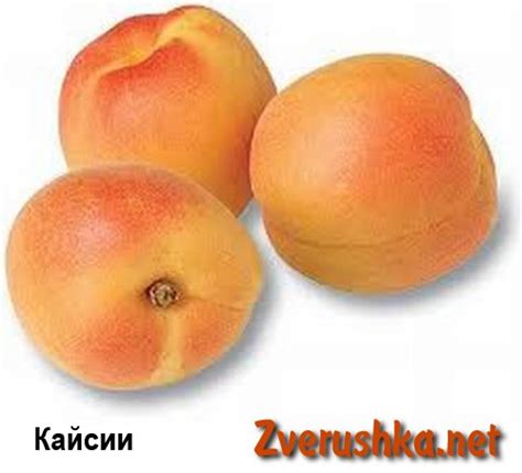 Развиващи картинки с плодове