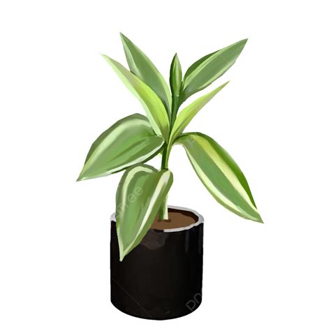 Una Planta Verde En Maceta Png Planta Maceta Pegatina Png Y Psd Images