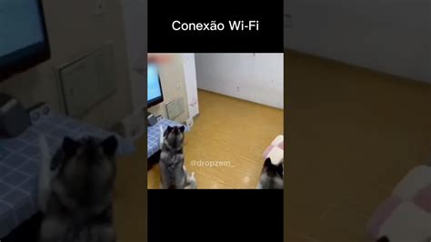 Monitore tudo pelo seu celular através da Mini Câmera Wifi YouTube