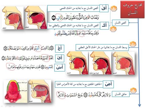 تعلم التجويد برواية ورش عن نافع من طريق الأزرق مخارج الحروف