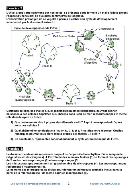 Les Cycles De Développement Des Plantes Série D Exercices 1 Alloschool