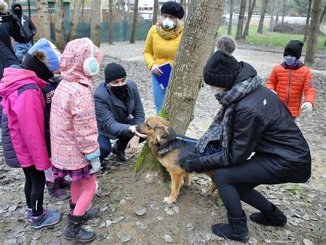 Otwarcie wybiegu dla psów przy Schronisku Azyl w Białej Podlaskiej