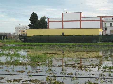 Fit Cisl Pura Depurazione Non Restituisce Pulita L Acqua In