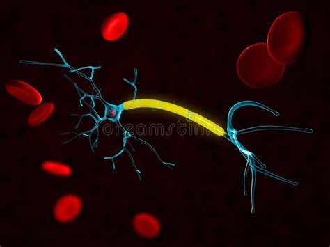 Cuerpo De Célula De La Neurona Ilustración Del Vector Ilustración De