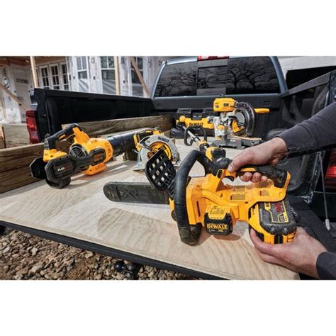 Dewalt 20v Max Xr® Compact 12 In Cordless Chainsaw Kit Butler