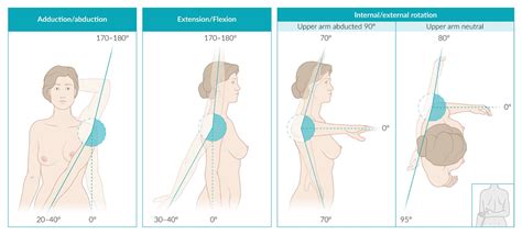 Shoulder Physical Exam Atelier Yuwa Ciao Jp