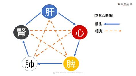 【体質改善の薬膳】良くも悪くも味は五臓に作用する！「図解でわかる 五臓と五行」 横浜 薬膳料理教室 胡桃の庭－冷え・体質改善／中医食療薬膳師® 神奈川