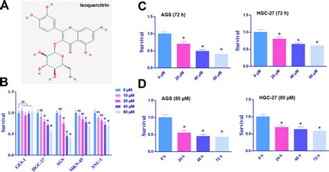 Isoquercitrin Dose Dependently Represses Gc Cell Survival In Vitro A