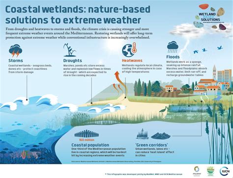 World Wetlands Day Wetland Action For People And Nature Medwet