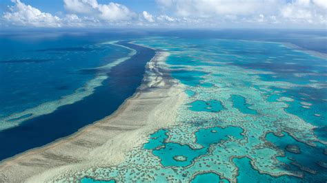 Anstieg Der Wassertemperatur Am Great Barrier Reef Droht Ein