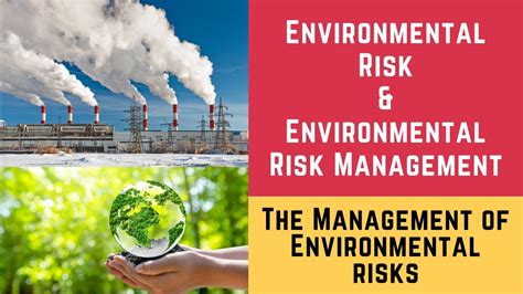 Environmental Risk And Environmental Risk Management The Management Of