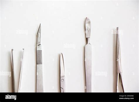 Marine Biologist Tools