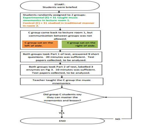 Flowchart Showing Procedures In Data Collection Download Scientific