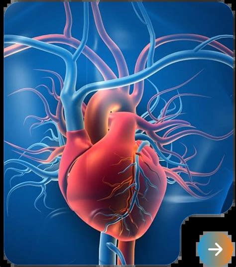 Cardio Diabetic Products Franchise | Indizen Pharmaceutical