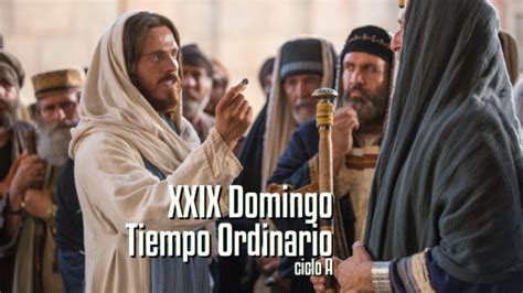 Xxix Domingo Del Tiempo Ordinario A Diócesis De Escuintla