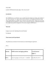 Lab Report Docx Lab Vsepr And Molecular Shape