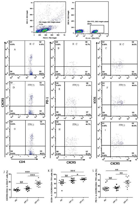 Increased Percentages Of Circulating Cxcr Cd Tfh Cells In The