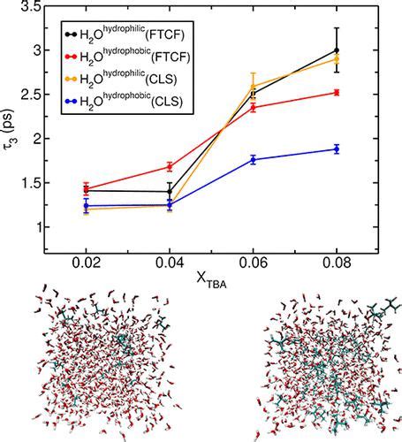 Theoretical Two Dimensional Infrared Spectroscopy Of Aqueous Solutions Of Tert Butyl Alcohol