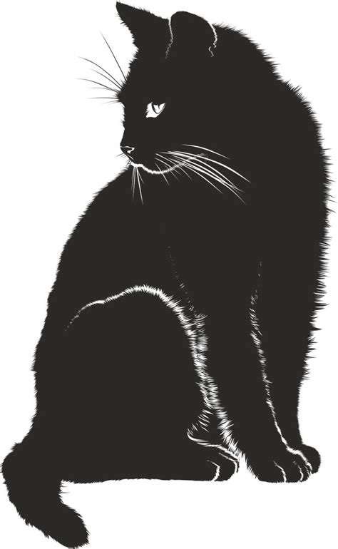 a black cat sitting down with its eyes closed