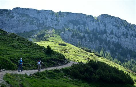 Escursione Misurina Col De Varda Rif Citta Di Carpi Malga Maraia