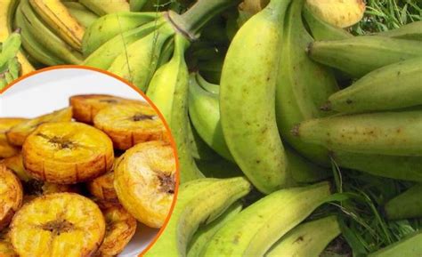 Qual O Benefício Da Banana Da Terra - Esses são os benefícios de consumir banana-da-terra com frequência ...