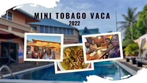 Mini Tobago Vaca 2022 Youtube