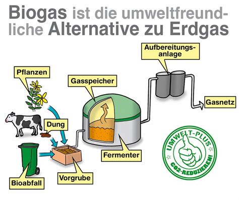 Was Ist Biogas Alles Wissenswerte Zu Biogas