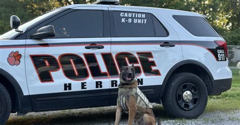 Herrin Police Departments K9 Kahos Has Received Donation Of Body Armor