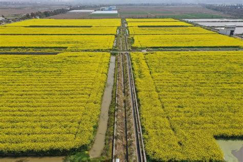 喜报！这家农场被确定为省级稻渔综合种养示范基地啦