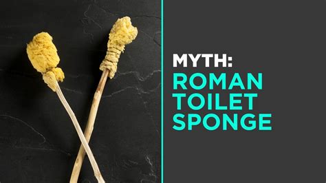 Myth Roman Toilet Sponge Youtube