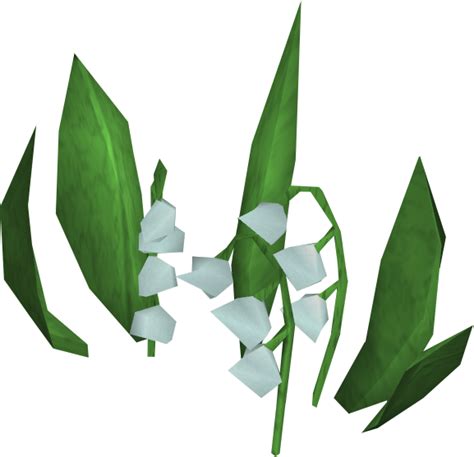 Lily Of The Valley Png Images Transparent Free Download