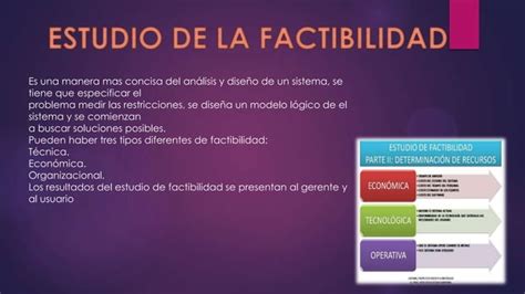 Estudio De La Factibilidad Ppt