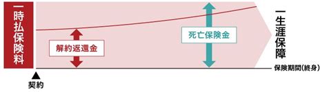 一時払終身保険とは？メリット・デメリットや解約返還金について解説｜保険の基礎知識｜第一生命保険株式会社