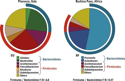 Intestinal Microbiota In Functional Bowel Disorders A Rome Foundation