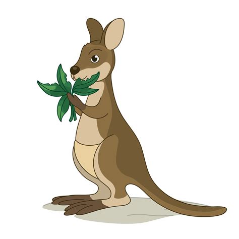 Wallabies Animal Care