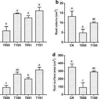 Changes In A Root Length B Root Volume C Number Of Root Tips