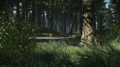 Escape From Tarkov Woods Map Guide Gamer Journalist