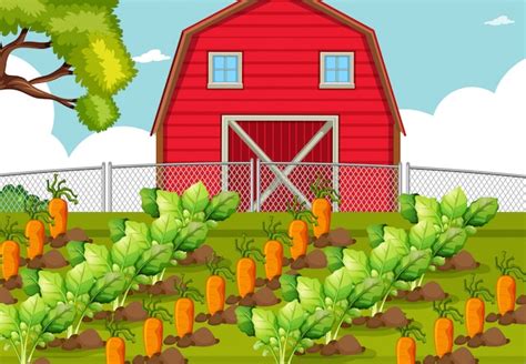 Vegetable Farm Clipart