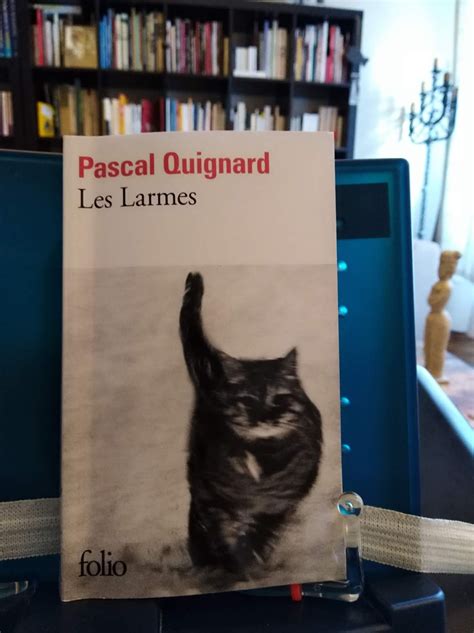 arte Voces del silencio cultura y literatura EL PLACER ESTÉTICO E