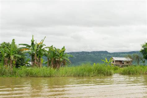 Floating Houses on the Amazon River Editorial Image - Image of tide ...