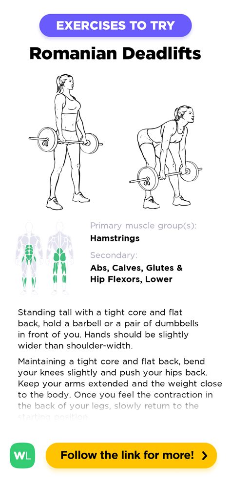 Romanian Deadlifts Workoutlabs Exercise Guide