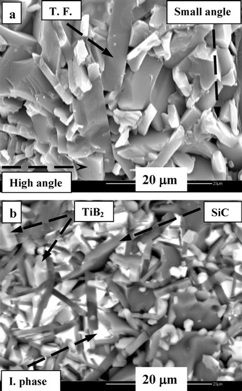 Sem Micrographs Of Fracture Surface Of Samples Sintered At Bullet