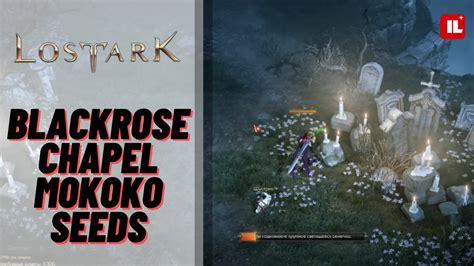 Lost Ark All Blackrose Chapel Mokoko Seed Locations Item Level Gaming