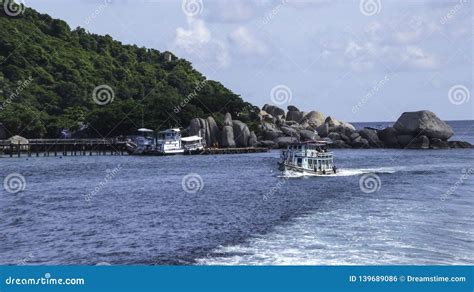 Boat In Koh Tao Beach Tailand Editorial Photo Image Of Coconut Palm