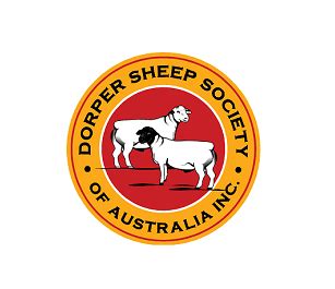 Dorper Sheep Society Australia – Swamp Road Dorper & White Dorper 2nd Annual Production Sale ...