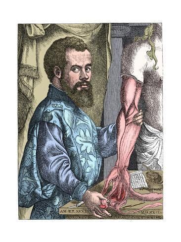 Andreas Vesalius Th Century Flemish Anatomist Giclee Print