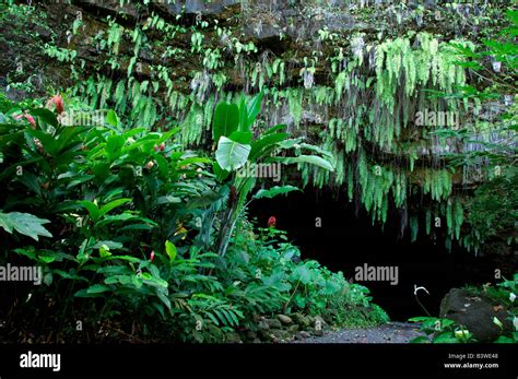 Pacifique Sud La Polynésie Française Tahiti Grotte De Maraa Aka La