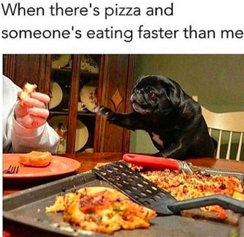 Pictures That Are Way Too Real If You Re A Slow Eater Pugs Funny