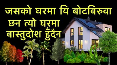 जसको घरमा यि बोटबिरुवा छन त्यो घरमा बास्तुदोश हुँदैनplant Vastu Youtube